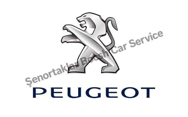 Tokat Peugeot Servisi