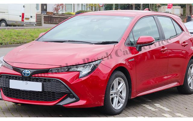 Tokat Toyota Servisi