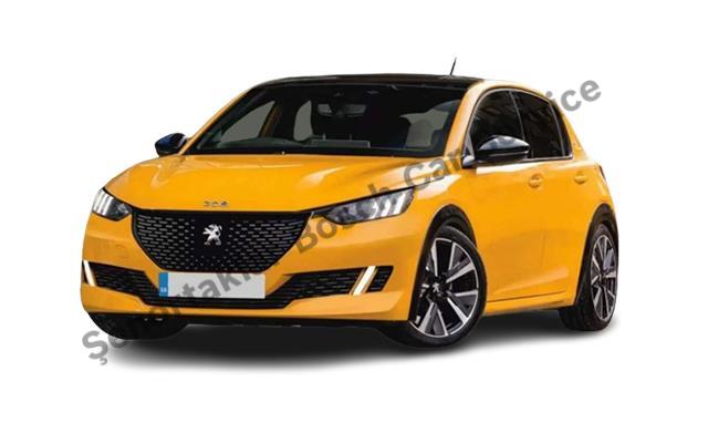 Tokat Peugeot Servisi